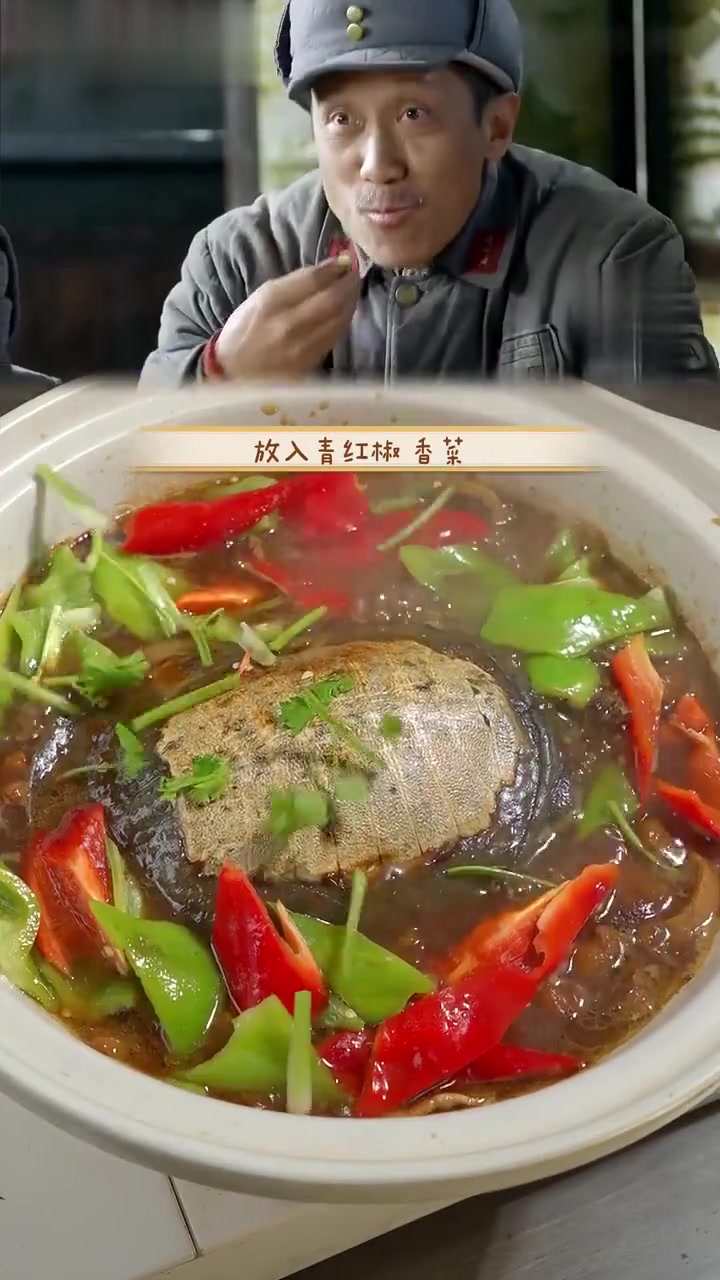 乌龟、甲鱼、鳖,是不是一回事?