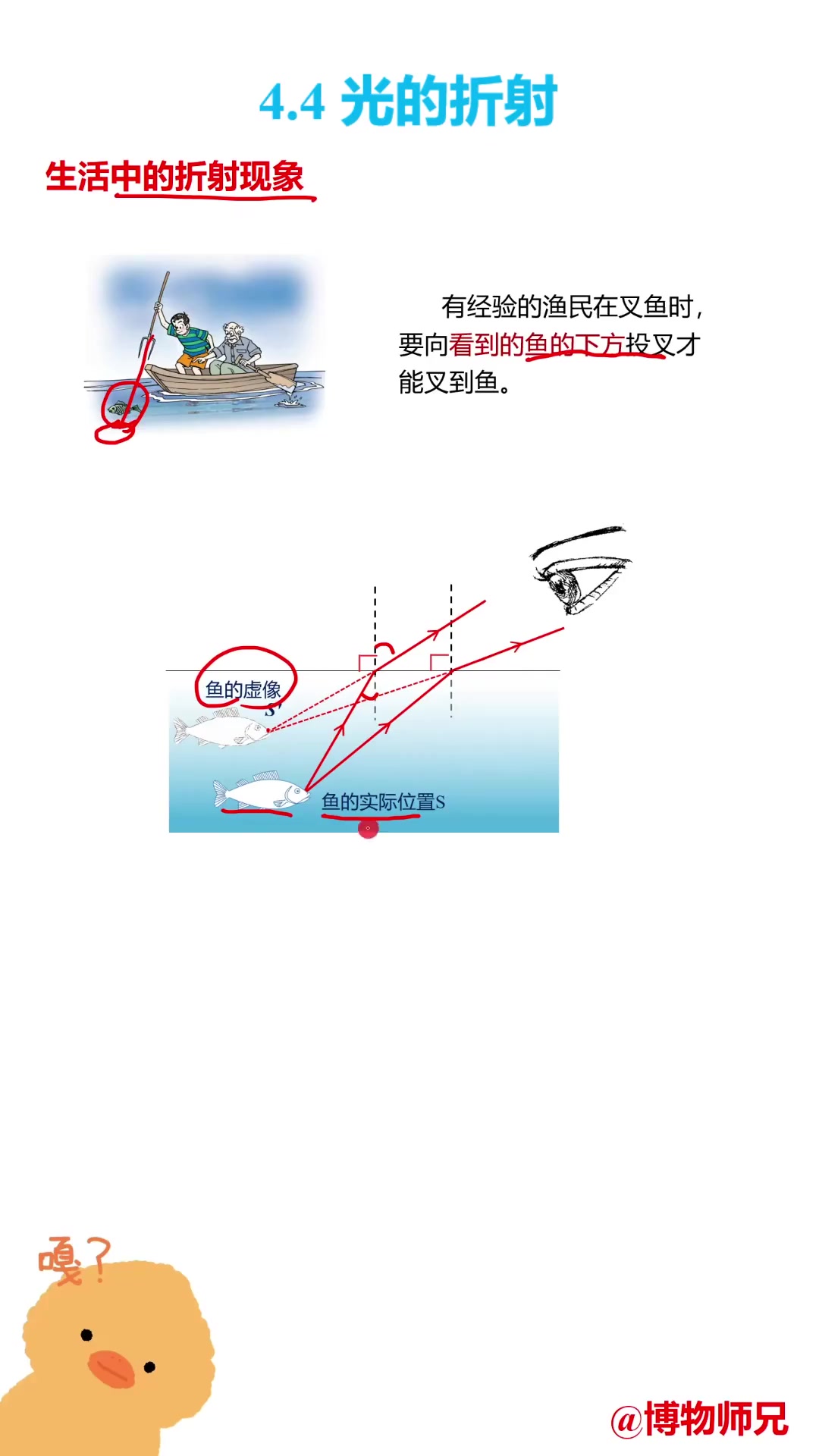 渔民为何要往鱼的下方投叉？折射现象揭秘(3)