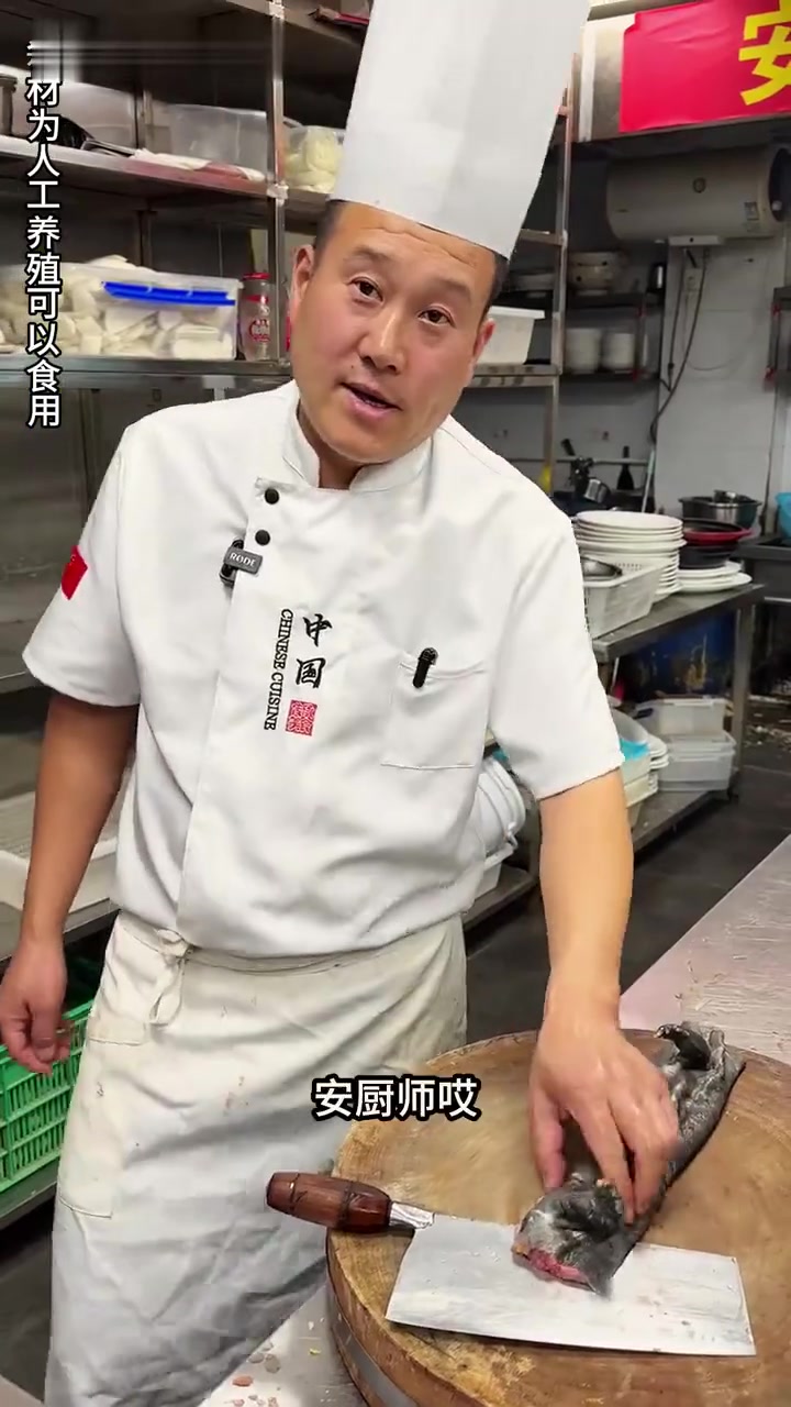 娃娃鱼的四种好吃做法