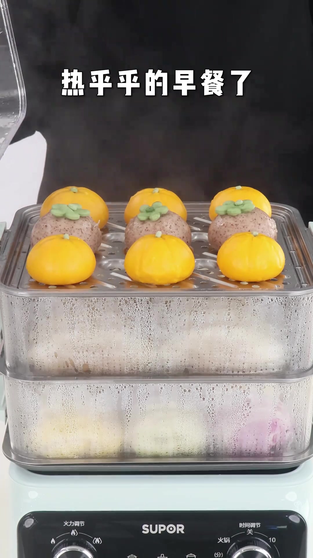 公主殿下请看视频智能电蒸锅不沾手美食一锅出