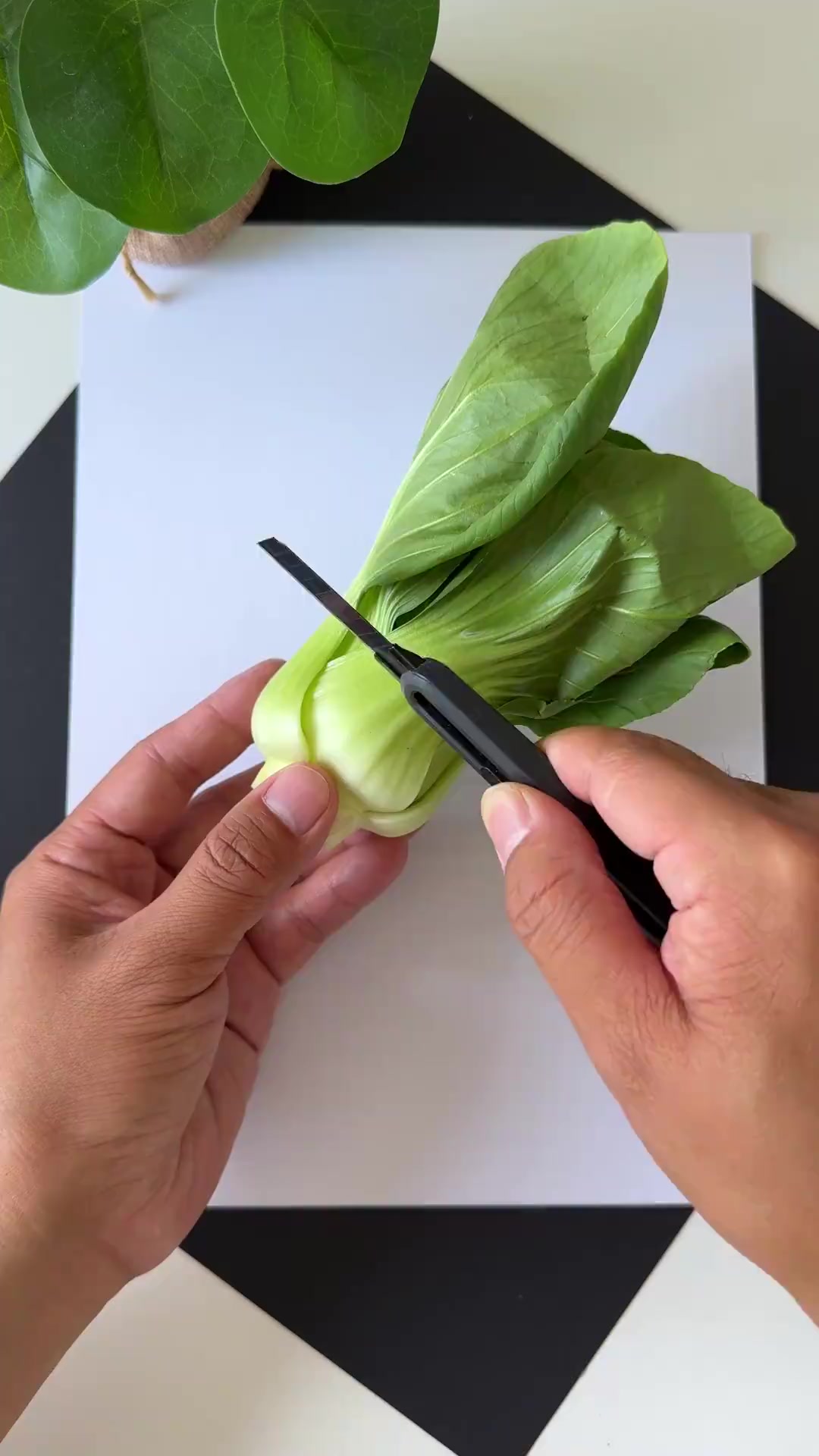 「收藏！用青菜画束玫瑰花」用青菜就能简单画出好看的玫瑰花~快试试吧↓↓手把手教你做手工（告