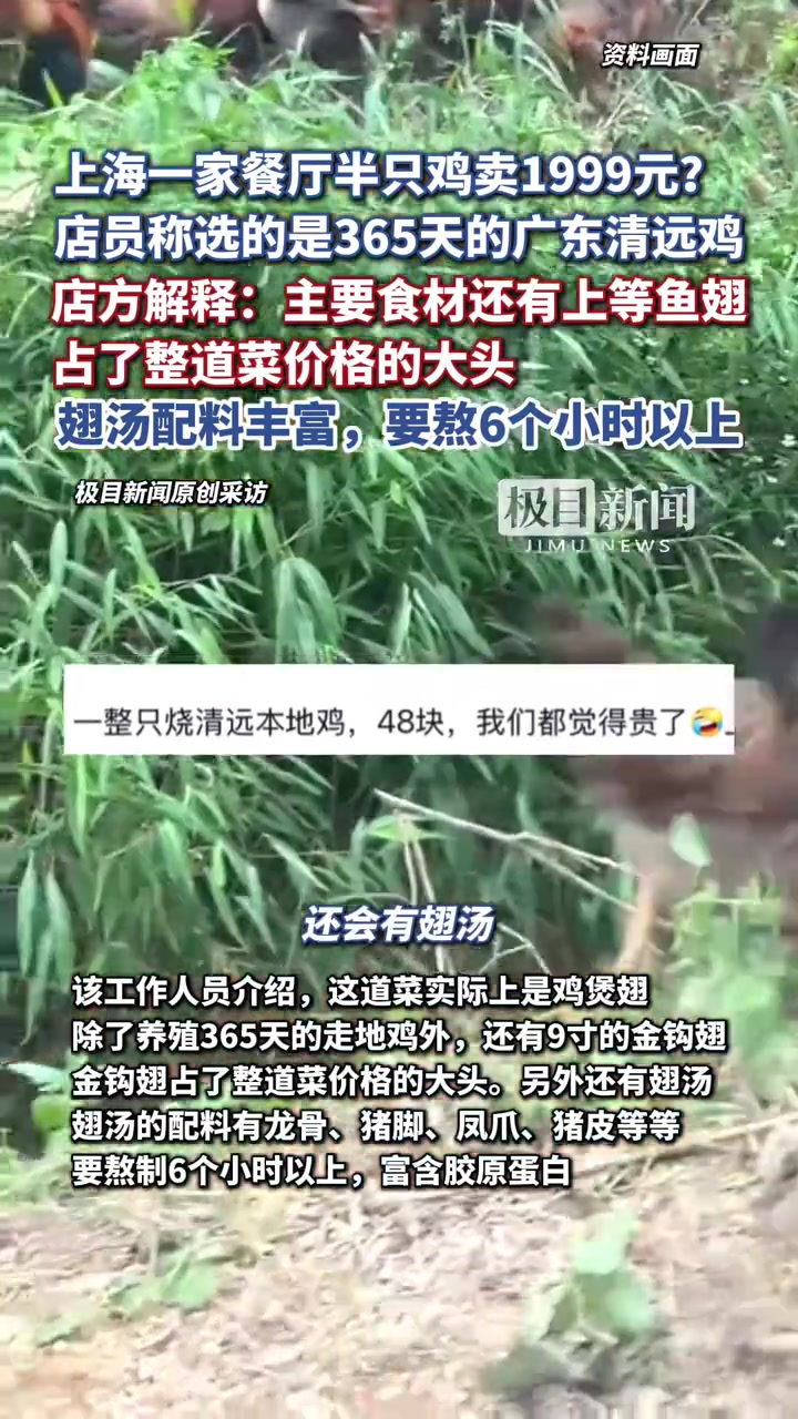 上海一家餐厅半只鸡卖1999元?店方解释:主要食材还有上等的鱼翅,占了整道菜价格的大头