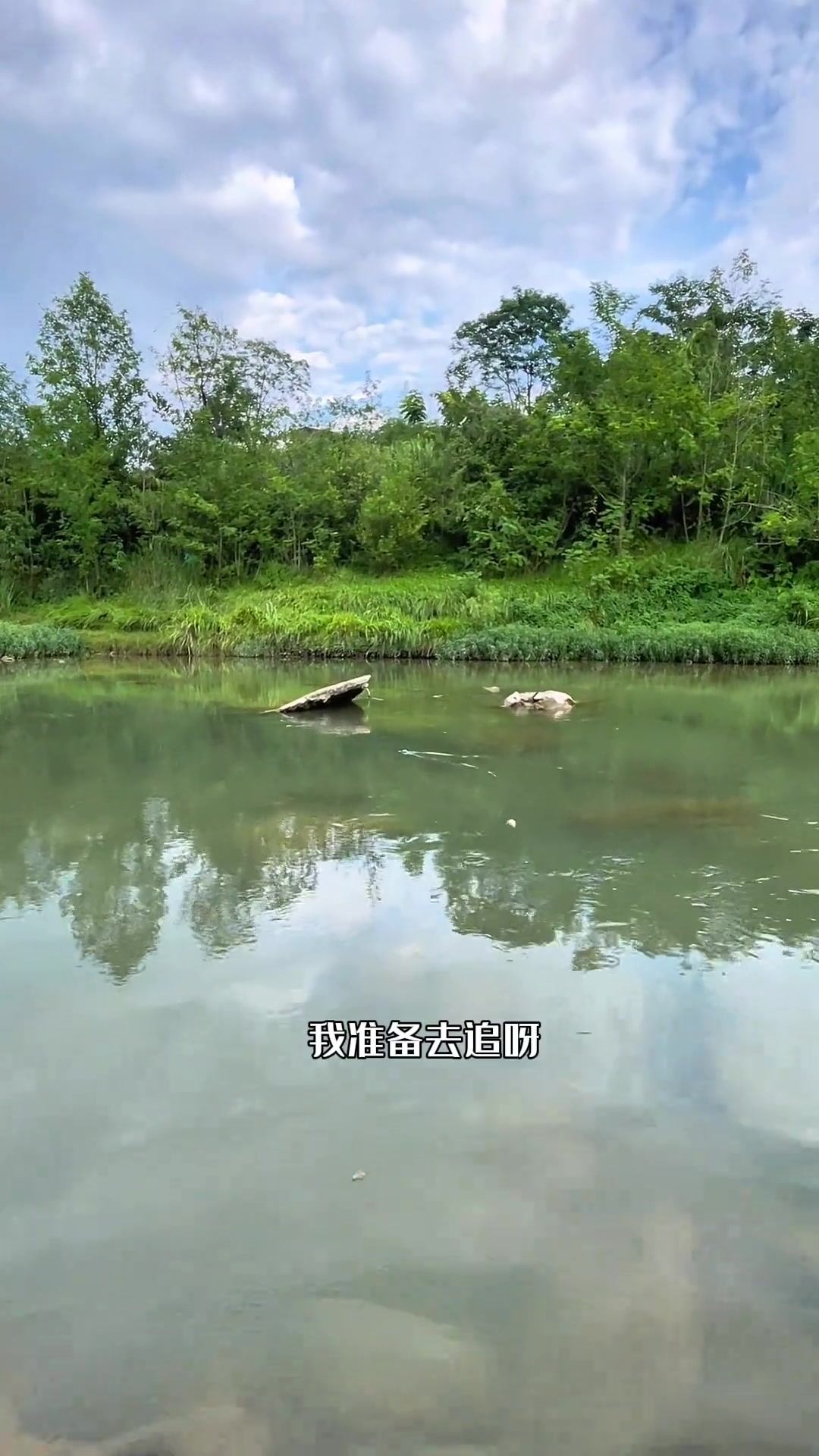 巨物突袭，捅了清波的窝！钓鱼人的快乐其实很简单 抖音垂钓季 野外垂钓 清波鱼 溪石斑