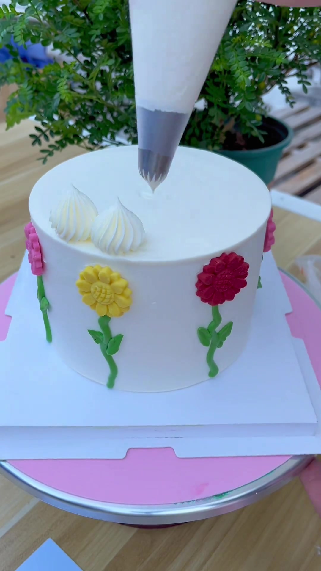 向日葵饼干蛋糕太好看了