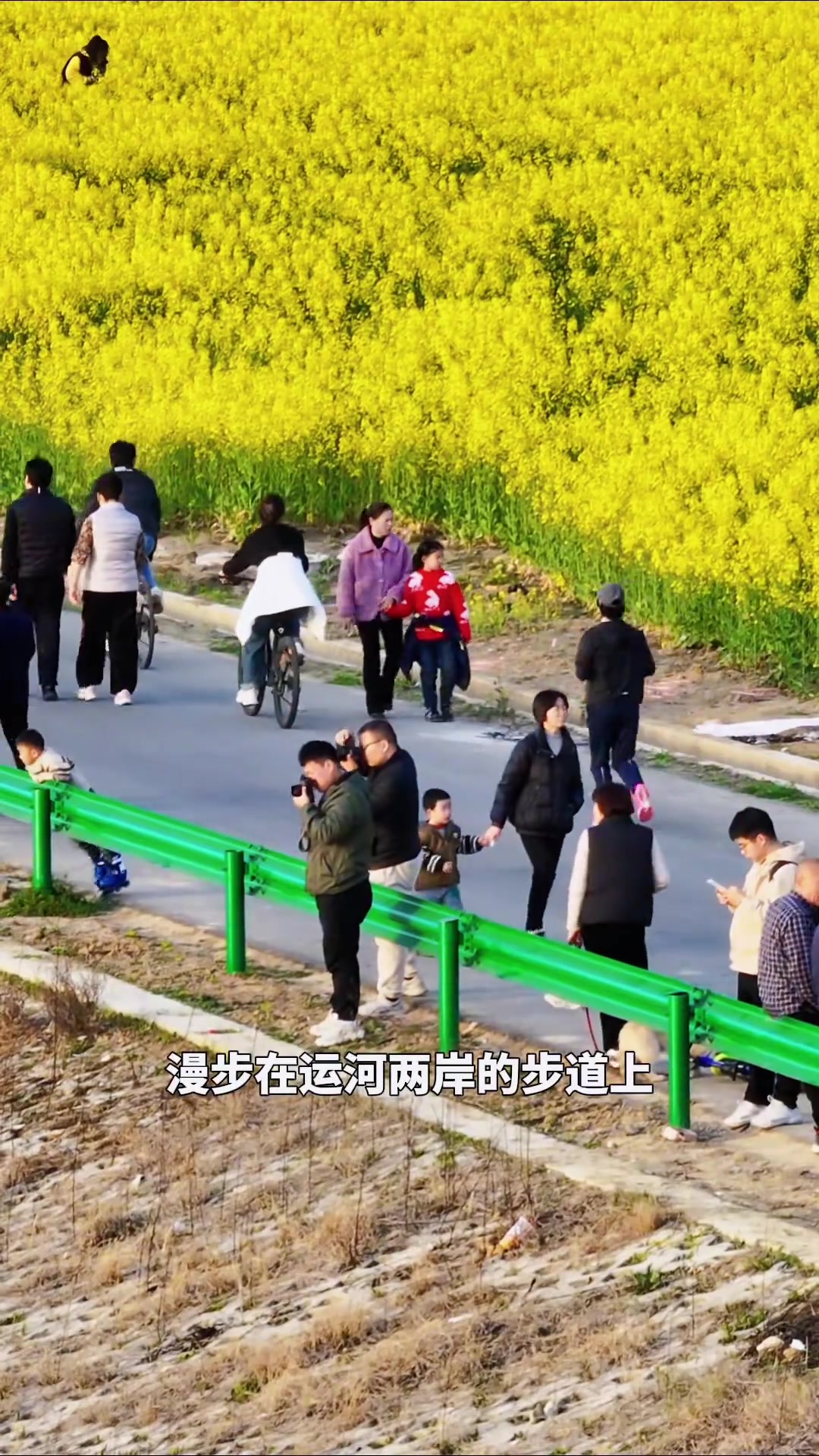 你确定不来和肥西江淮运河的油菜花基地见一面吗