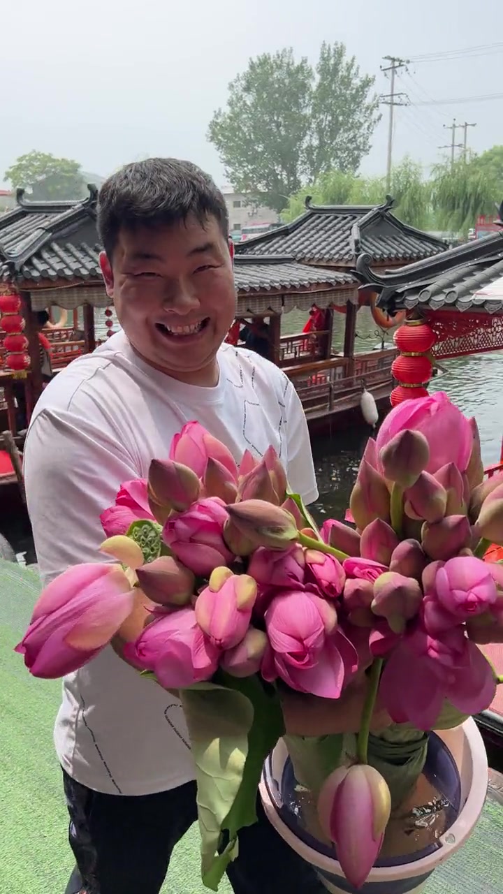 白洋淀一日游，原生态环淀游，连吃带玩，畅游白洋大淀，穿梭芦苇荡