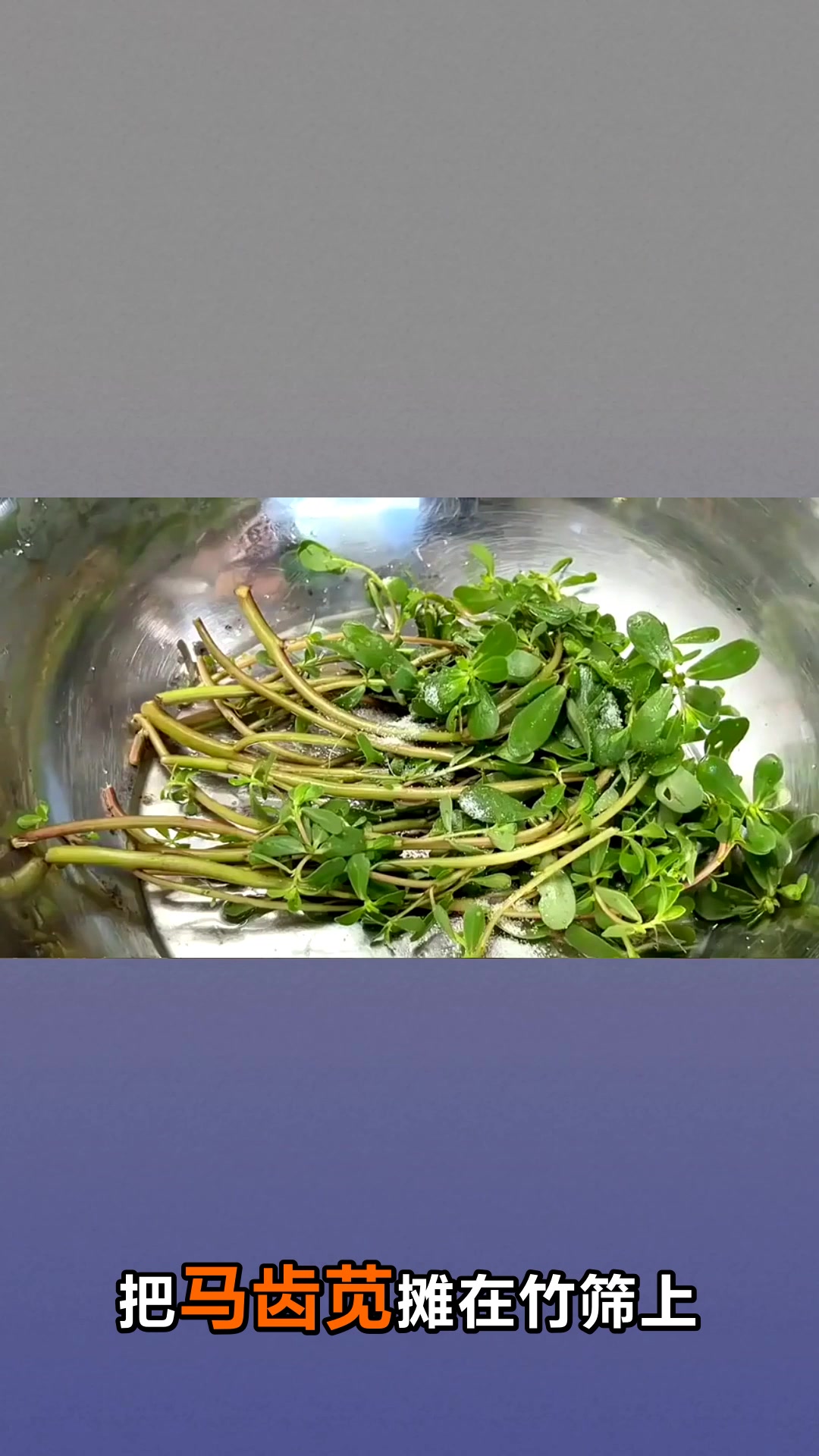 马齿苋晒干后还能吃吗