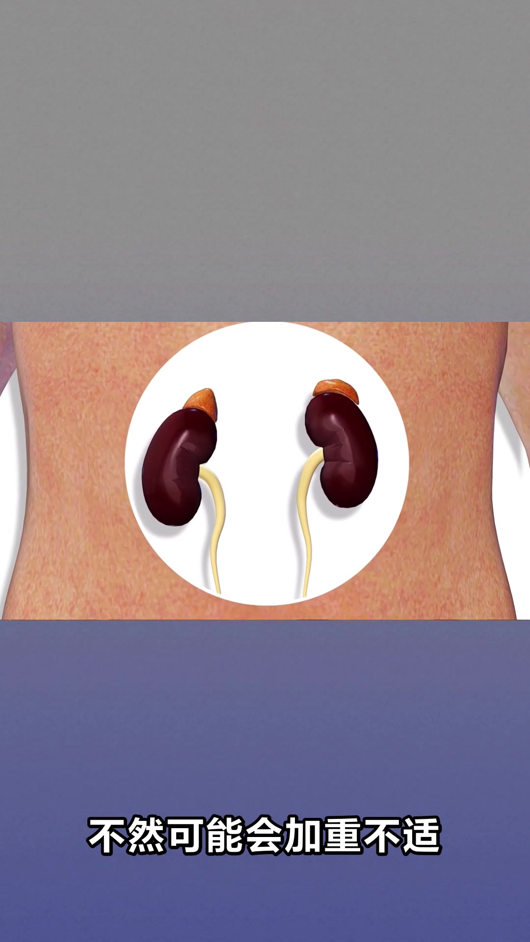 红苋菜的功效与作用及禁忌全解析