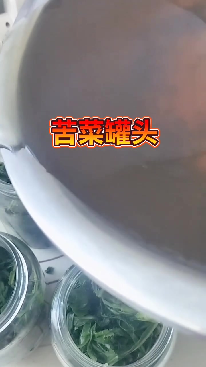 野生苦菜这样做罐头冬天也能吃快试试！