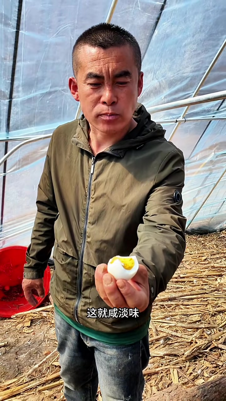 母鸡下蛋公鸡也能下蛋吗