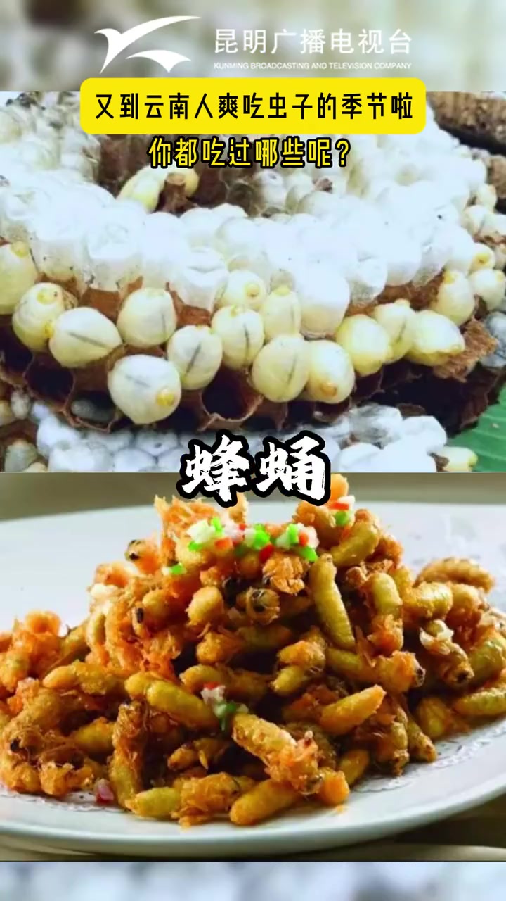 又到云南人爽吃虫子的季节啦!你都吃过哪些呢?云南 昆虫宴 特色美食