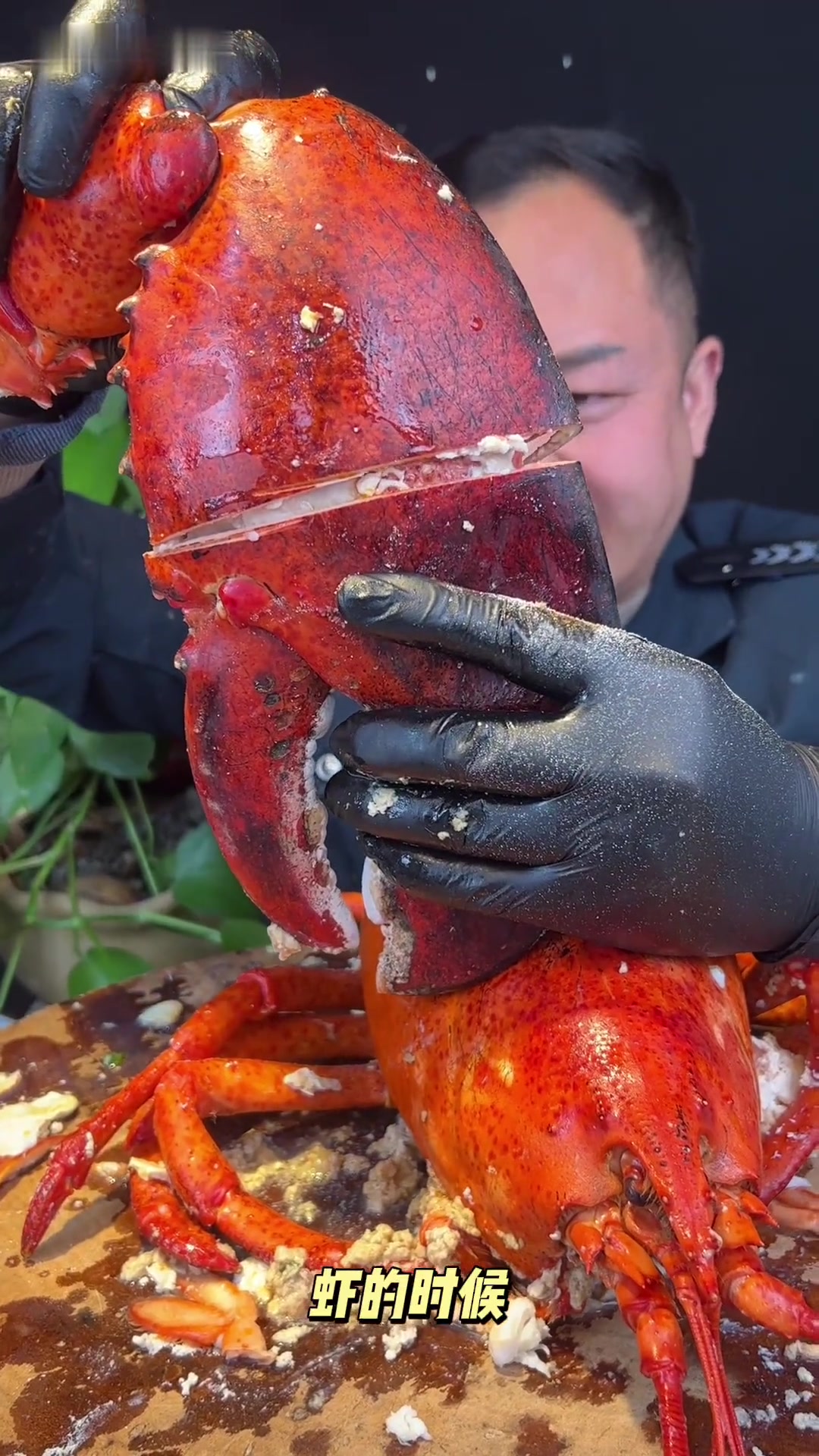 吃波士顿大龙虾钳子肉超多黄也多超嫩