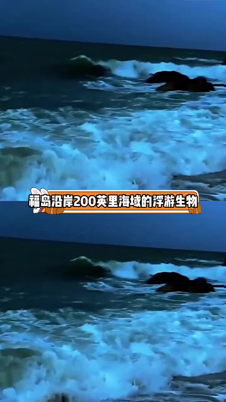 这下真的吃上核污染海鲜了 核污水 海鲜 娱你安利