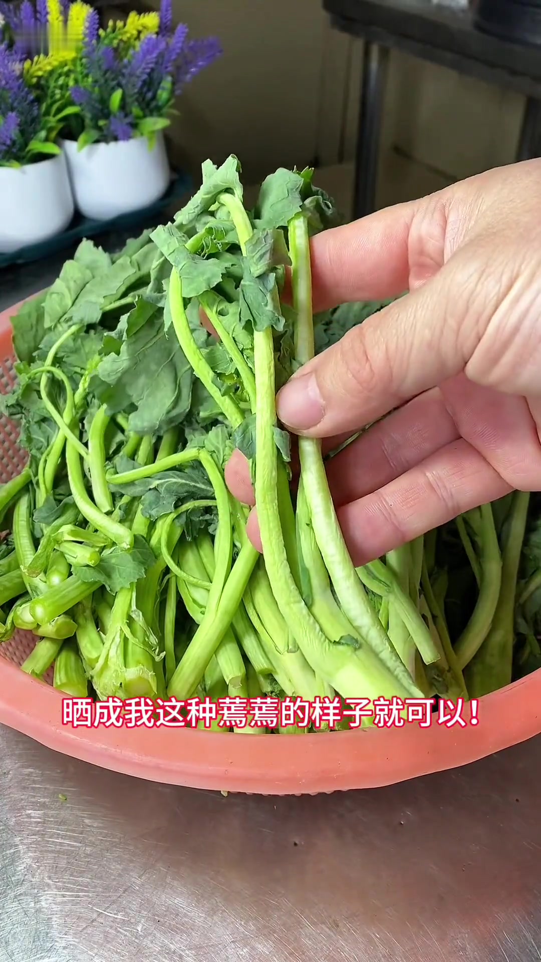 油菜心做酸菜超好吃！这样腌七天酸脆开胃
