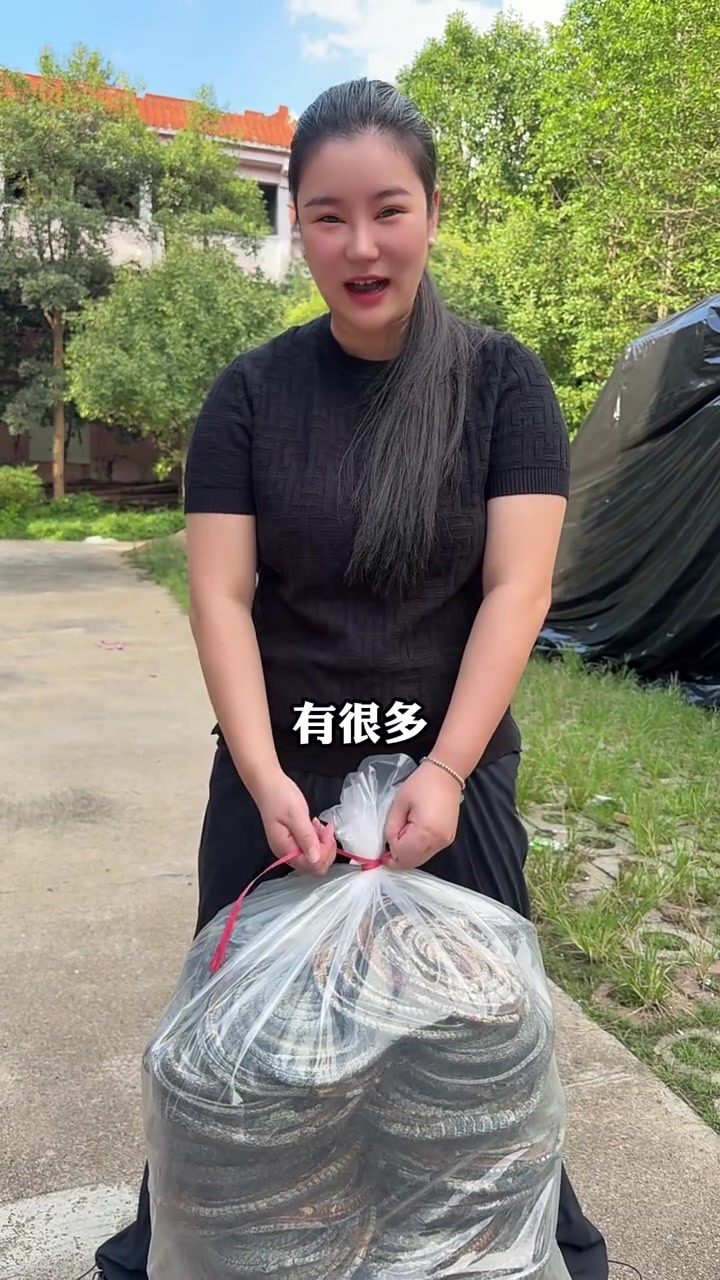 广东自然资源丰富,适合蛇类生长,你知道有啥蛇?