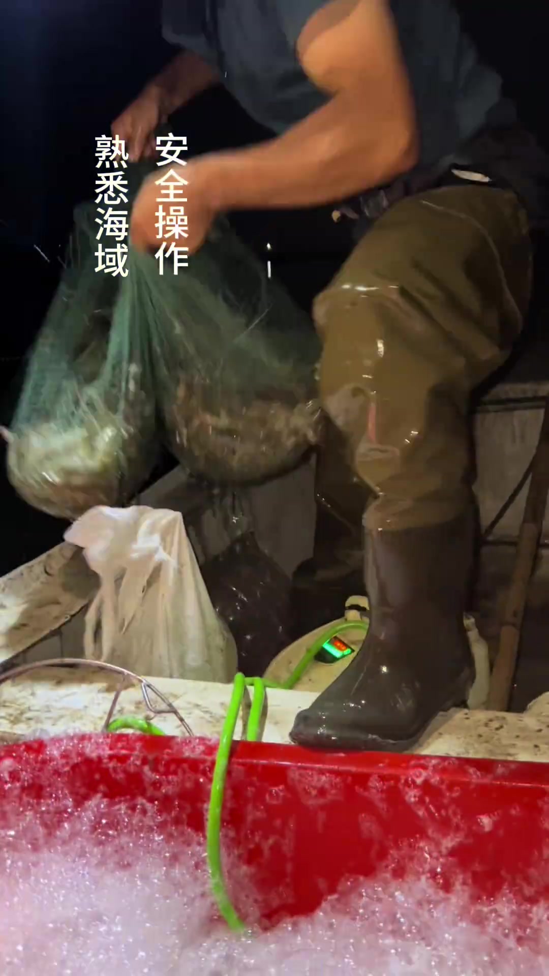 带你看当地盐田虾打捞,现捞现煮有多鲜