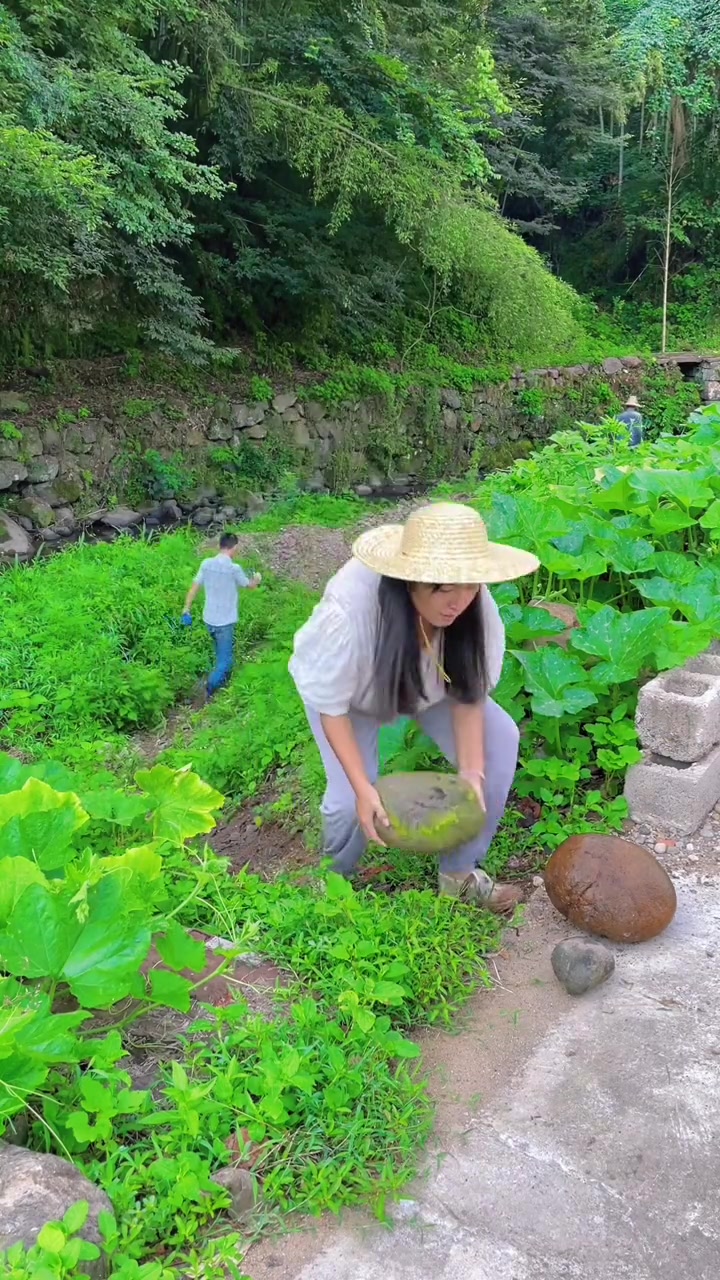我家院子修建的鱼池终于住进了一批鱼儿，先试试水，在平淡的日子里搜刮生活藏起来的温柔