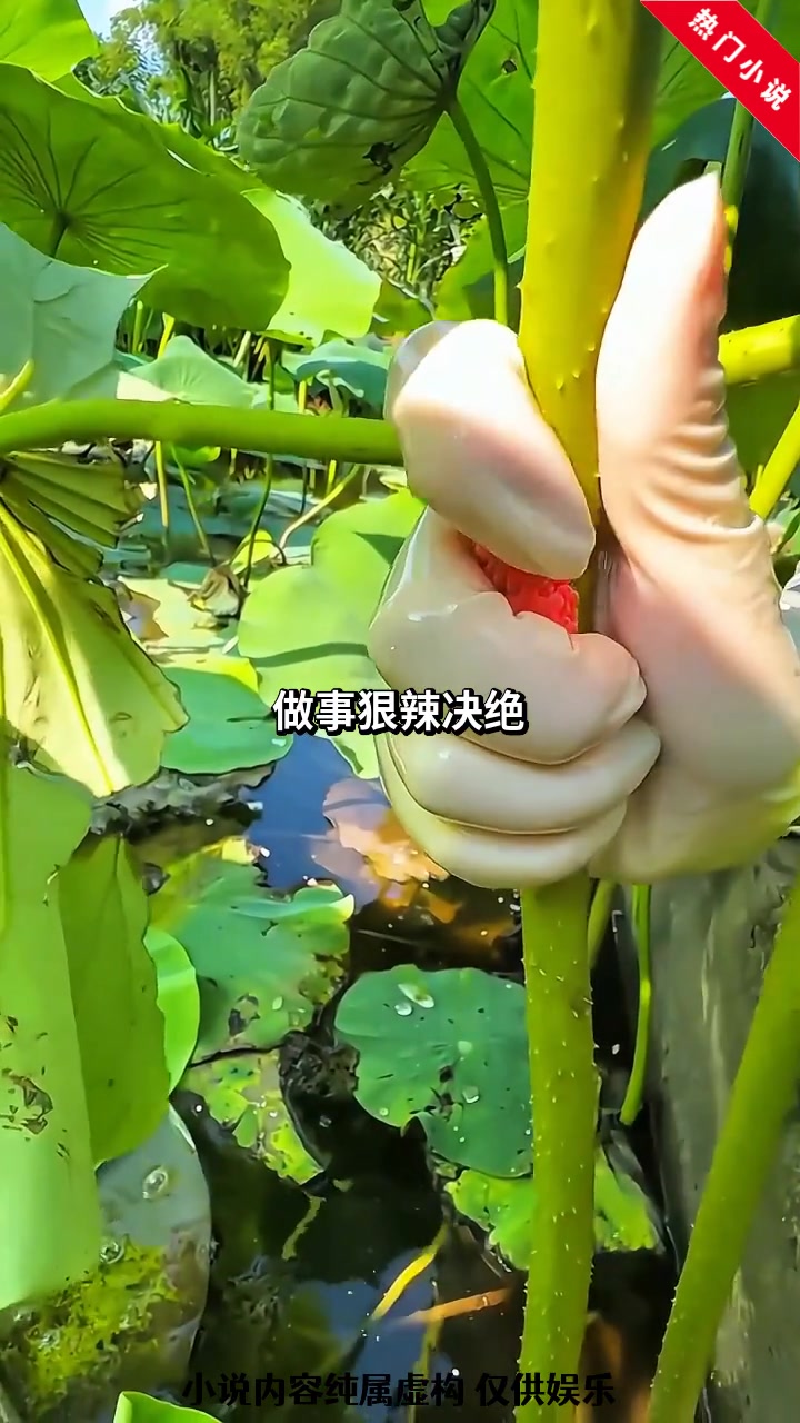 精彩小说:婚后心动:凌总追妻有点甜
