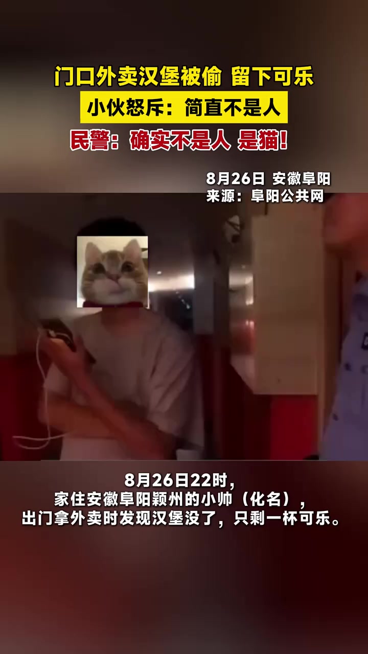 门口外卖汉堡被偷，留下可乐，小伙怒斥：简直不是人。民警：确实不是人，是猫！