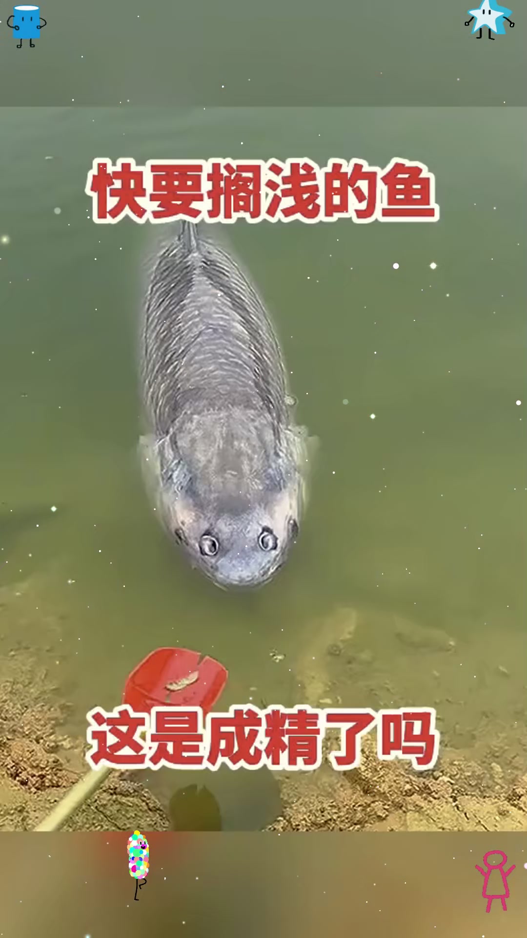 快要搁浅的鱼，这是成精了吗！