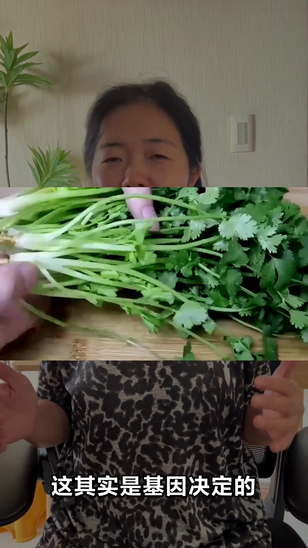 吃香菜竟然有这么多好处