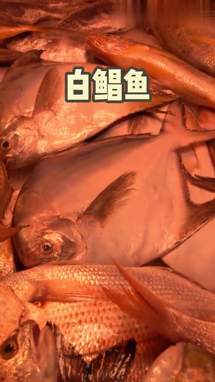 你认识多少种海鱼！