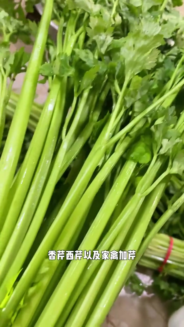 芹菜做饺子需要焯水吗