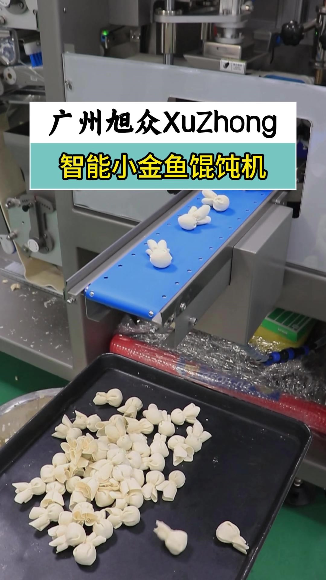 全自动小金鱼馄饨机,一台机器搞定擀面、制皮、包馅、成型