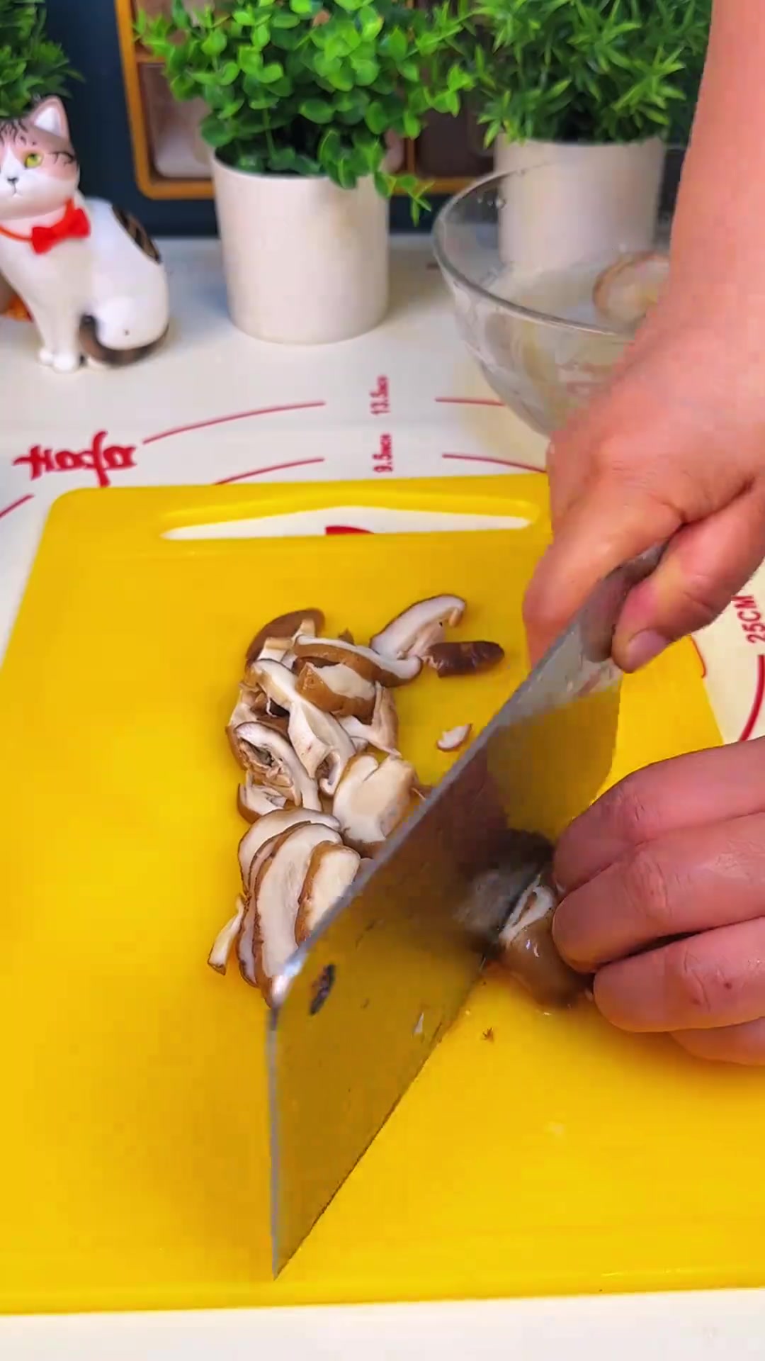 分享鸡肉香菇馅饺子的制作方法