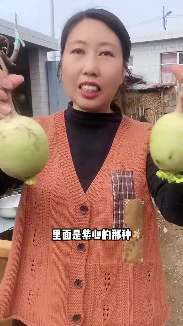 我们就是普普通通的农家菜，没什么认证，也不会号称是什么“有机蔬菜”。咱们就主打一个实在，大