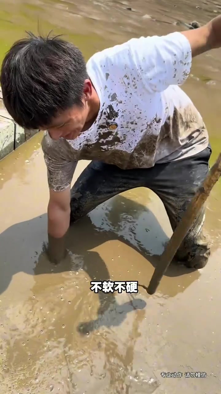 抓甲鱼大作战!能抓到几个?会不会亏?