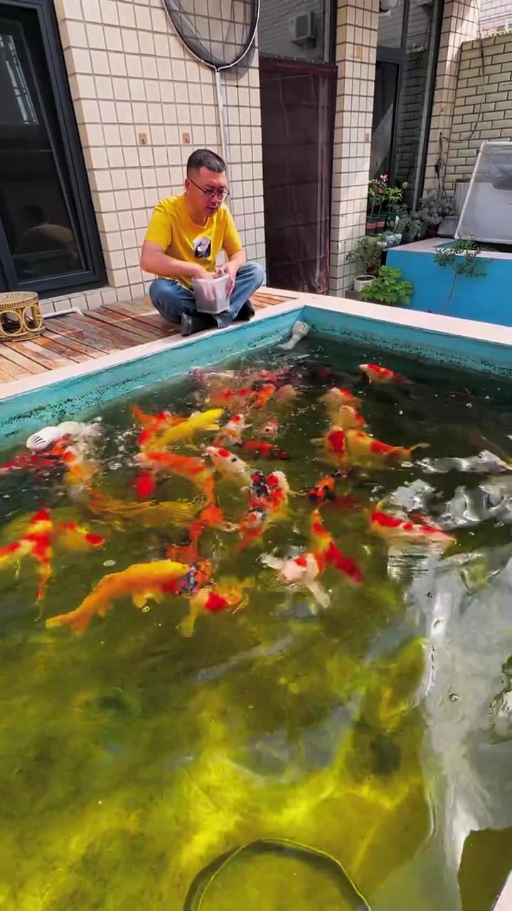 古来高士耽幽寂，独有观鱼记性灵