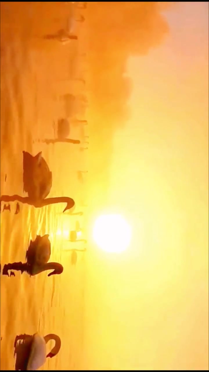 大美新疆，美丽伊犁天鹅湖