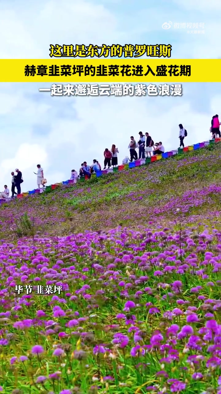 「过七夕贵州那可太太太会了」8月29日是七夕佳节，贵州韭菜坪紫色花海极致浪漫，快走进东方的