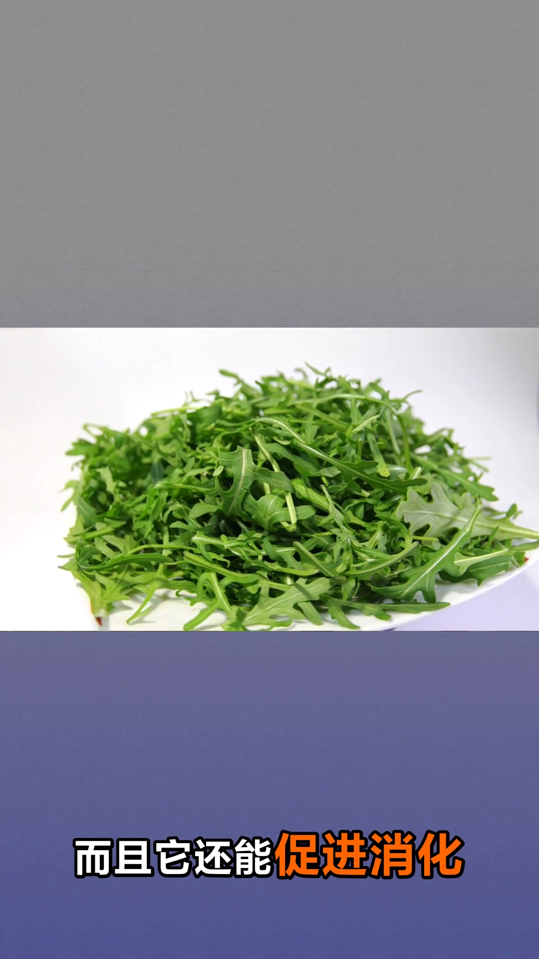 苦麻菜的神奇功效与作用你知道吗