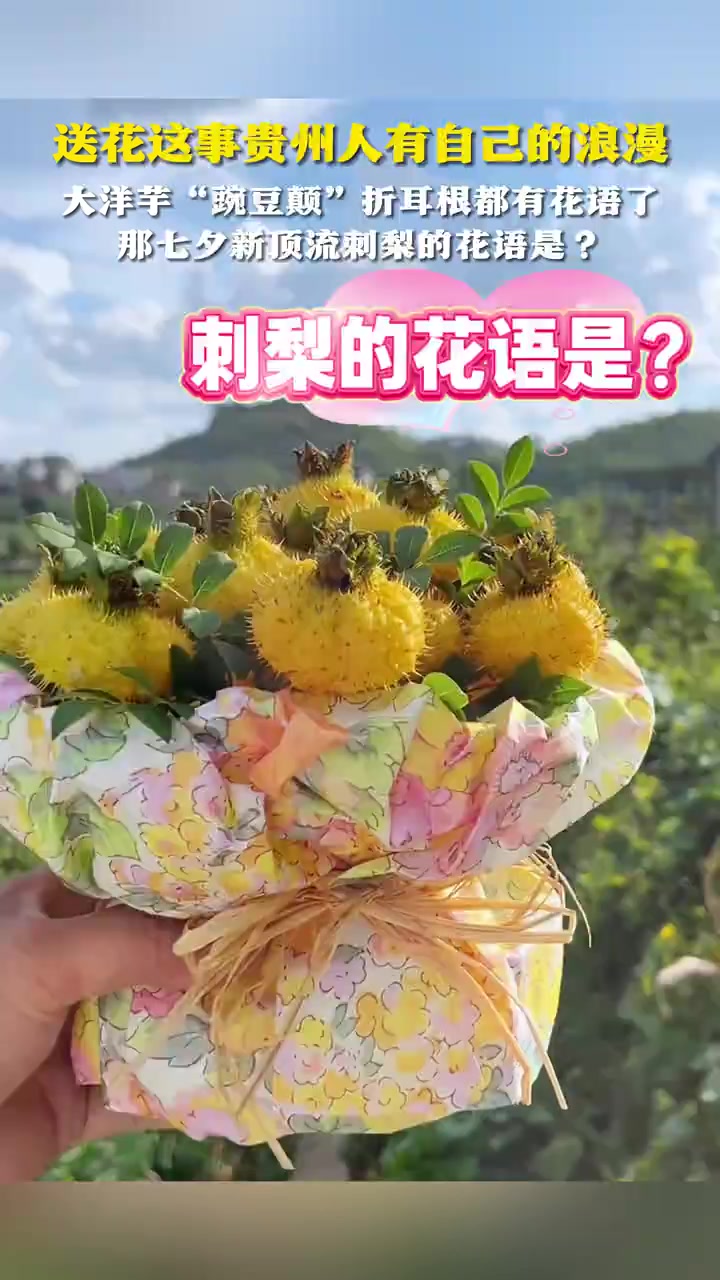 送花这事贵州人有自己的浪漫 大洋芋“豌豆颠”折耳根都有花语了 评论区网友帮忙想一想:刺梨的