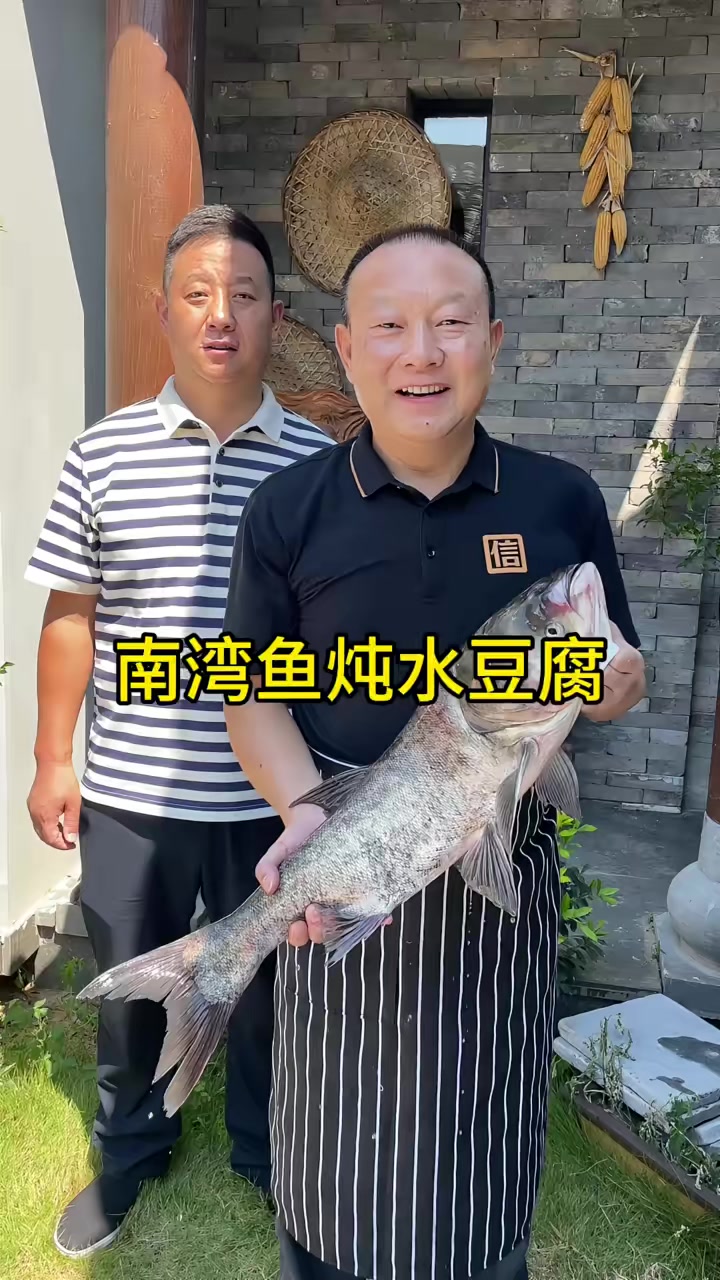 今天我做一道信阳名菜南湾鱼炖水豆腐，招待郑州来的客人！