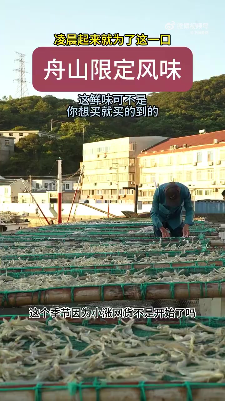 「撞不掉的独家记忆|舟山渔港边,鲜味和光阴都在慢酿」那些年在舟山渔港吹过的风、晒过的太阳,