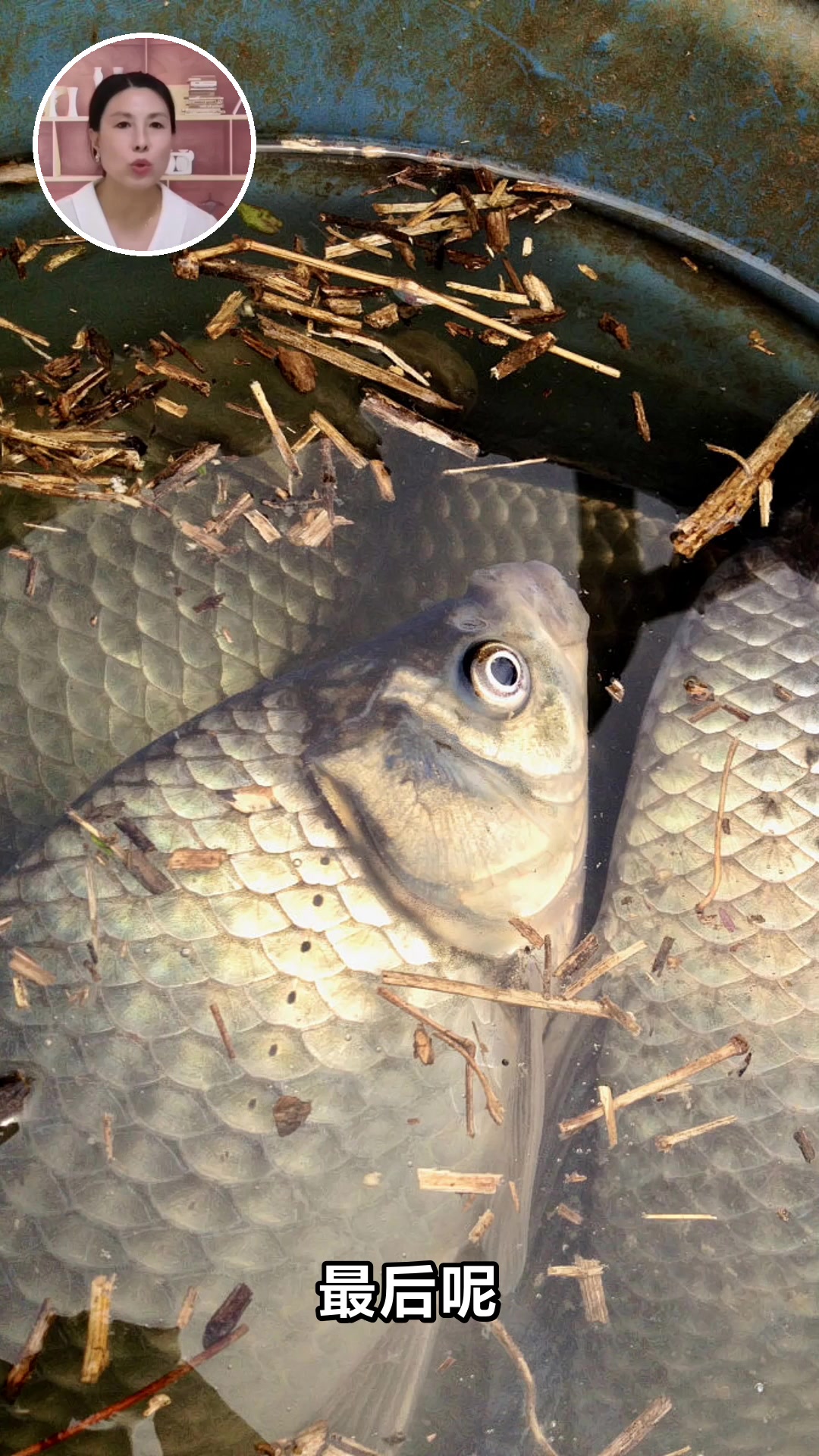 水鱼的功效与作用你知道吗