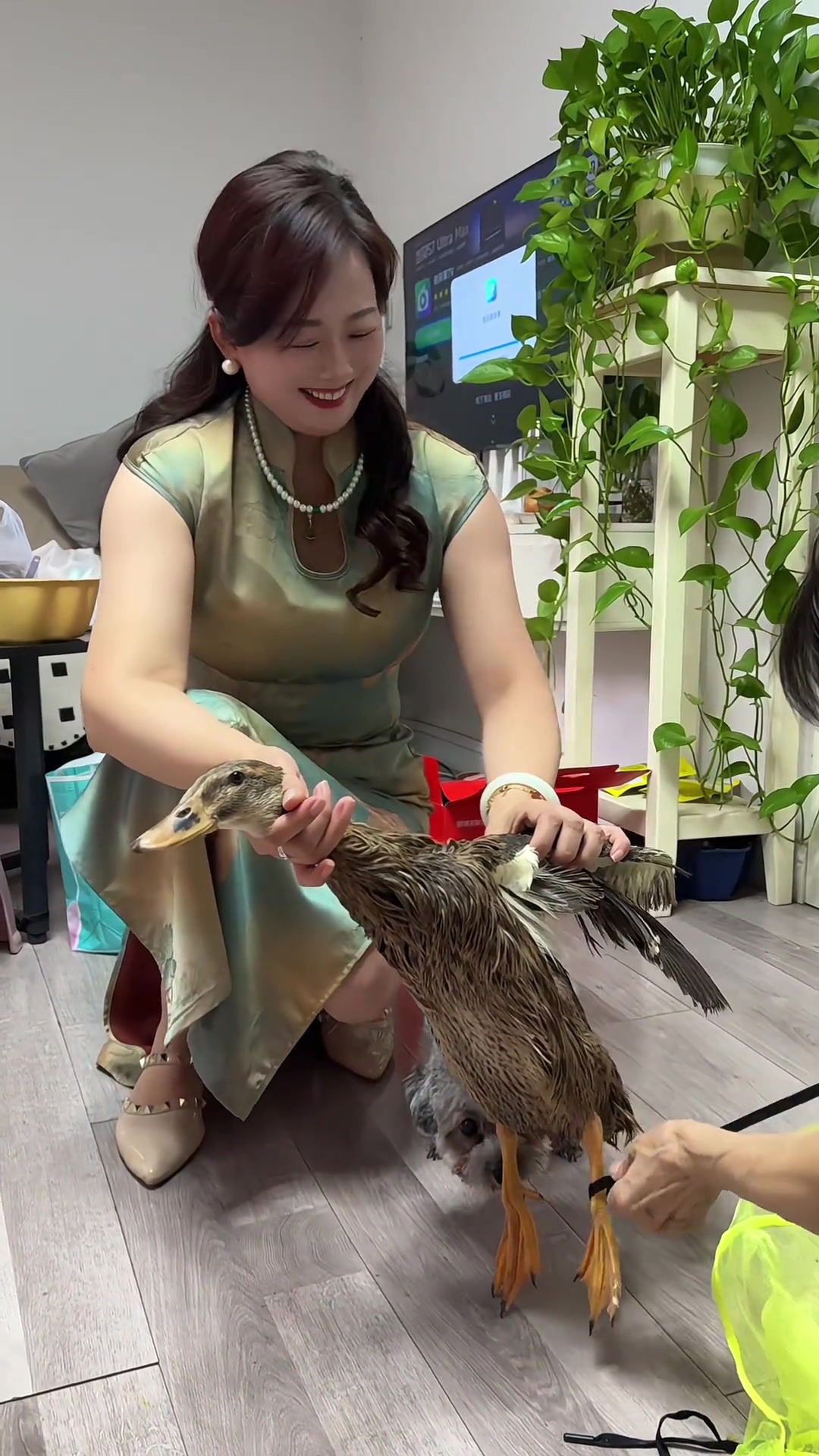 老妈嫌我胖，在微山湖买小麻鸭让我减肥