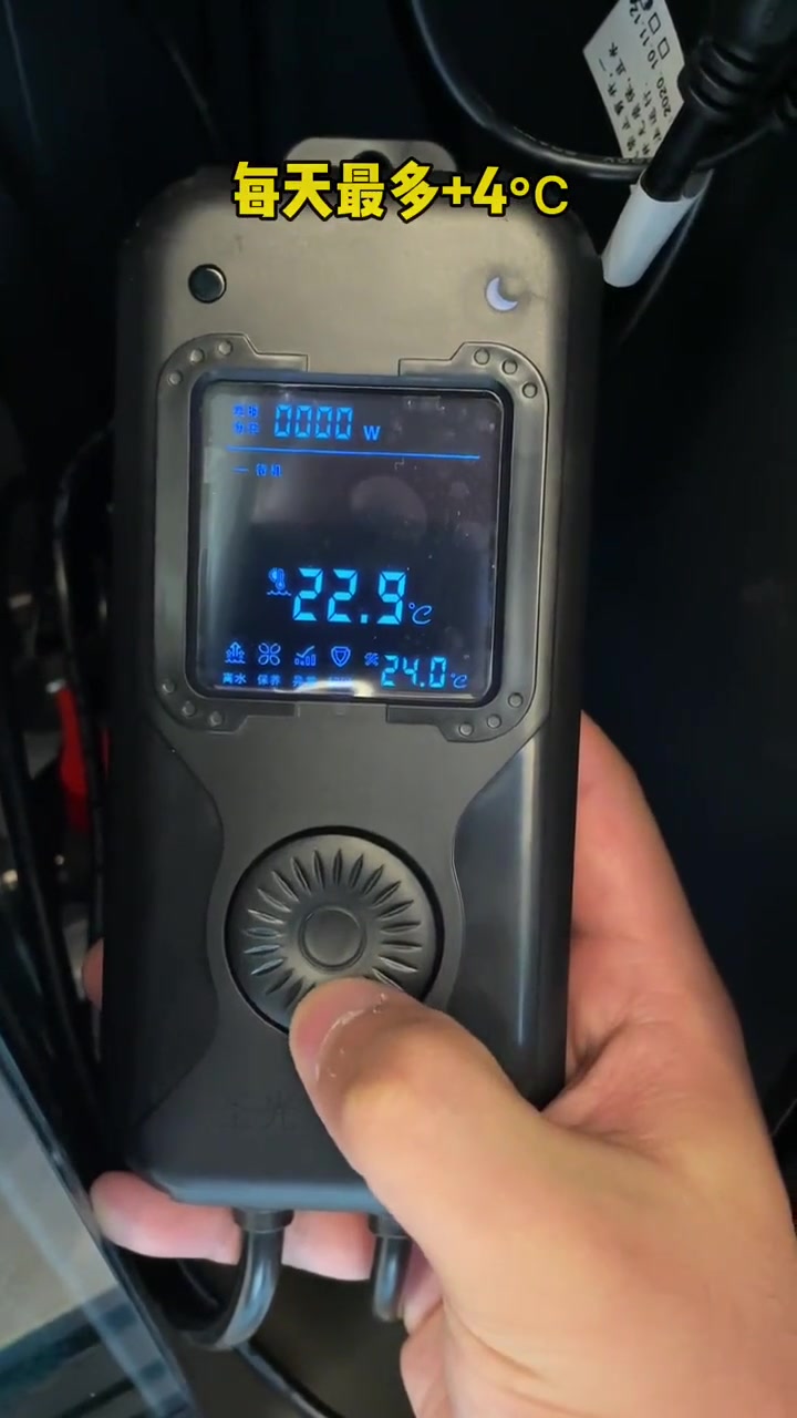 最常见的白点病，治疗方法参考