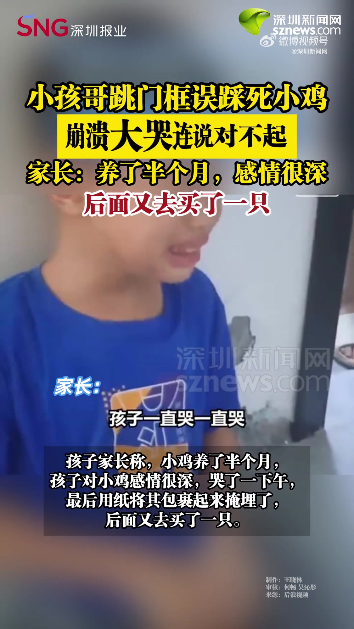 「小孩误踩死小鸡大哭说对不起 家长:养了半个月,感情很深」小孩哥踩死养了半月小鸡连说对不起
