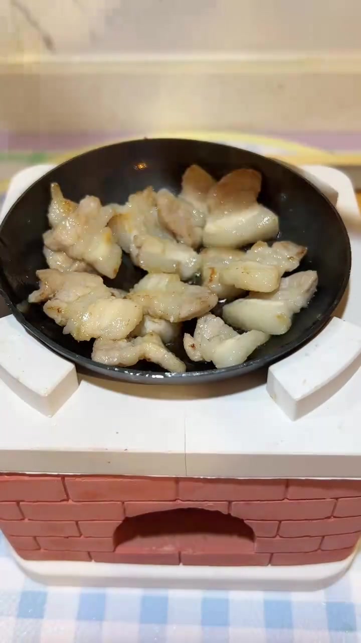 生命维持餐之迷你定食——辣椒炒肉盖饭
