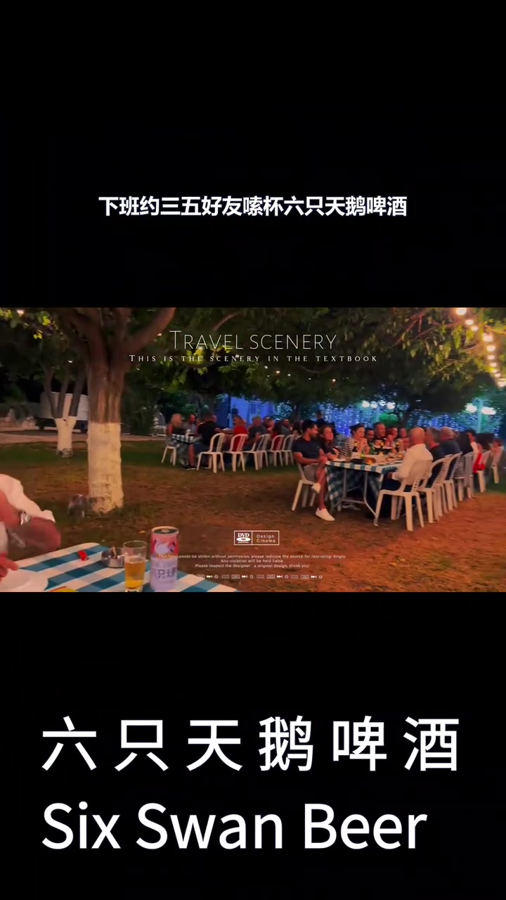 六只天鹅 8.30