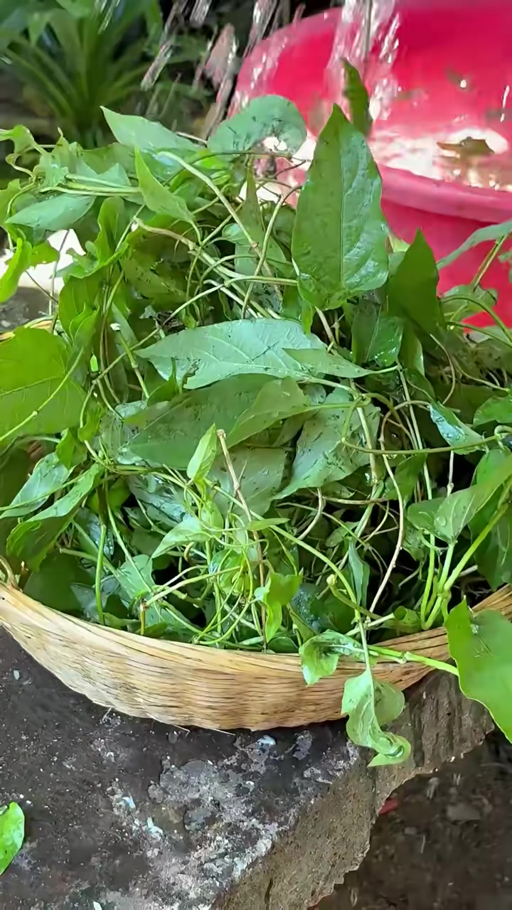 海南人私藏的黑暗料理？大学生组团解锁“臭名远扬”的神仙味道！