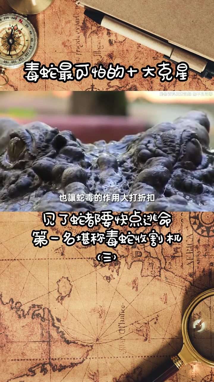 第603集｜鳄鱼与蛇哪个更强？快成长计划 老铁知识百科 喜爱度激励计划