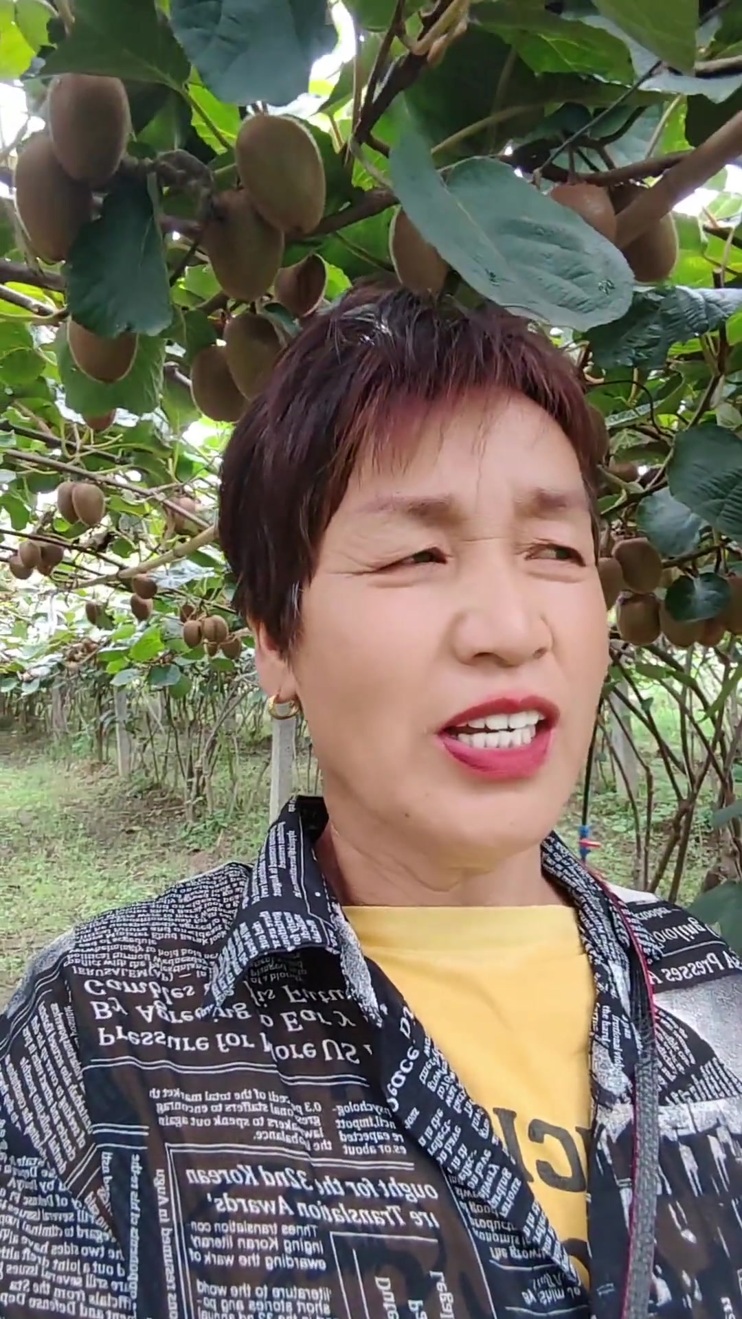果农与果商如鱼水，公平买卖，良心至上盼双赢