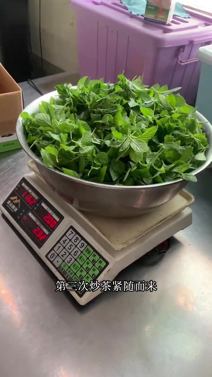 明年之事,待明年再作打算