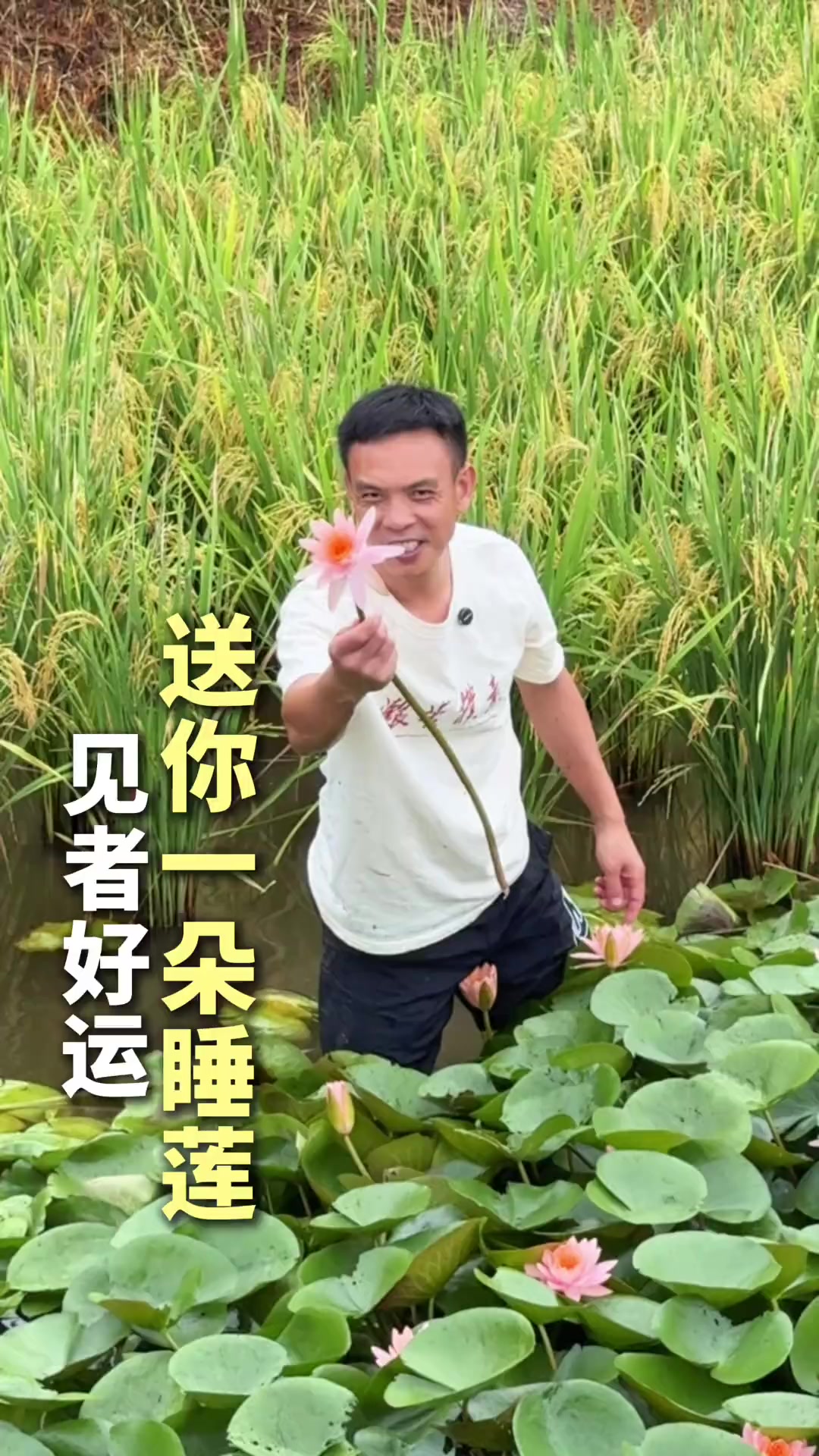 祝大家七夕快乐,愿天下有情人终成眷属!