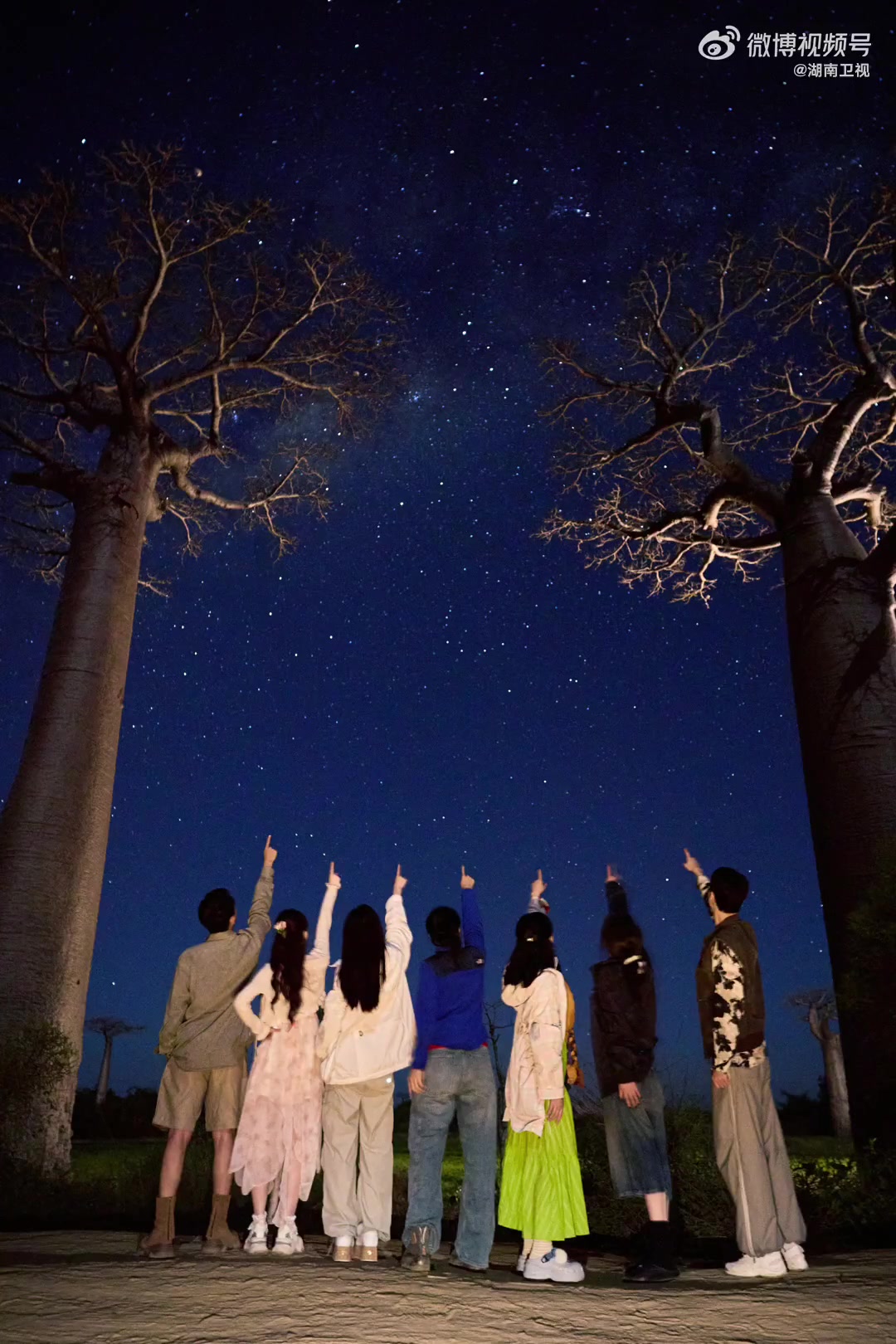 星光漫过猴面包树,花少团 的同框才是最暖的风景～有风景,更有彼此!